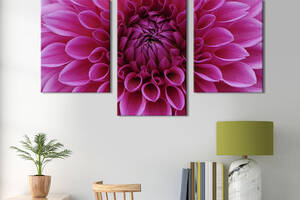 Картина из трех панелей KIL Art триптих Большая розовая хризантема 141x90 см (799-32)