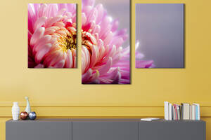 Картина из трех панелей KIL Art триптих Чарующая розовая хризантема 141x90 см (812-32)