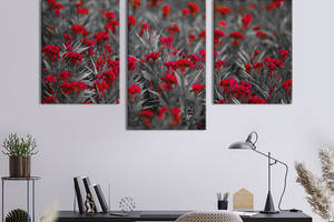 Картина из трех панелей KIL Art триптих Красные полевые цветы 66x40 см (922-32)