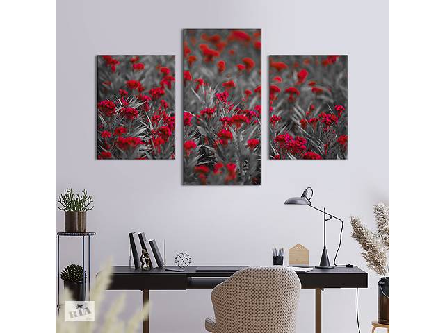 Картина из трех панелей KIL Art триптих Красные полевые цветы 66x40 см (922-32)