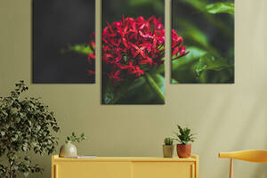 Картина из трех панелей KIL Art триптих Красный тропический цветок 96x60 см (913-32)