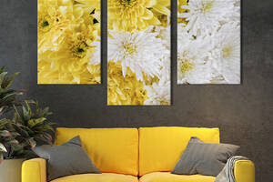 Картина из трех панелей KIL Art триптих Красивые белые и жёлтые хризантемы 96x60 см (932-32)
