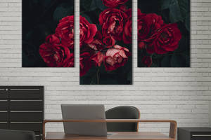 Картина из трех панелей KIL Art триптих Красивые пунцовые розы 66x40 см (924-32)