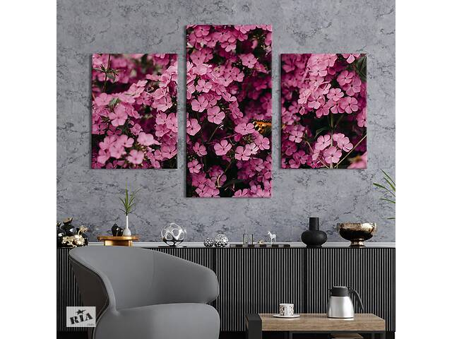 Картина из трех панелей KIL Art триптих Красивые розовые цветы флоксы 141x90 см (925-32)