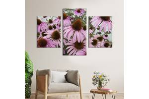 Картина из трех панелей KIL Art триптих Красивые цветы эхинацеи 141x90 см (898-32)