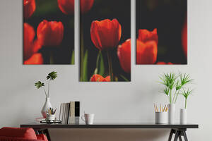 Картина из трех панелей KIL Art триптих Кроваво-красные тюльпаны 141x90 см (908-32)