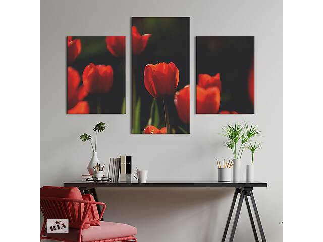 Картина из трех панелей KIL Art триптих Кроваво-красные тюльпаны 141x90 см (908-32)