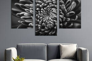 Картина из трех панелей KIL Art триптих Лепестки хризантемы 96x60 см (791-32)