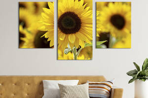 Картина из трех панелей KIL Art триптих Маленькие солнечные подсолнухи 66x40 см (952-32)