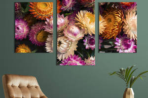 Картина из трех панелей KIL Art триптих Необычные цвету сухоцветы 66x40 см (928-32)