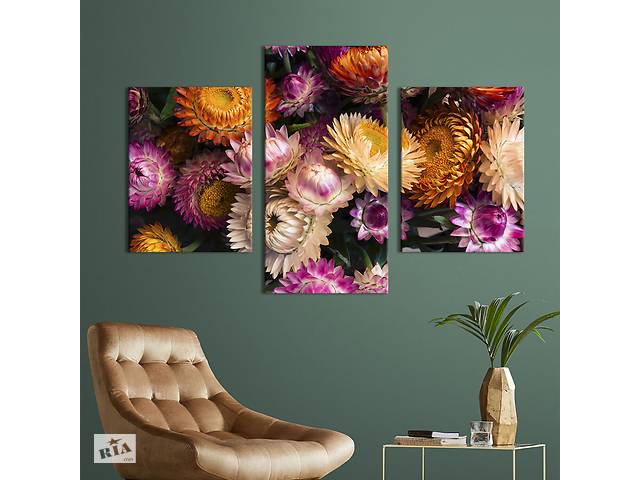 Картина из трех панелей KIL Art триптих Необычные цвету сухоцветы 66x40 см (928-32)