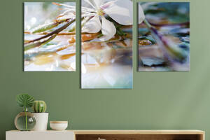 Картина из трех панелей KIL Art триптих Нежный дикий цветок 96x60 см (782-32)