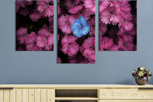 Картина из трех панелей KIL Art триптих Одинокий голубой василек среди розовых 141x90 см (909-32)