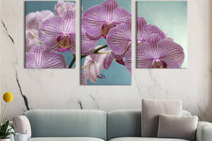 Картина из трех панелей KIL Art триптих Прекрасная мраморная розовая орхидея 96x60 см (902-32)