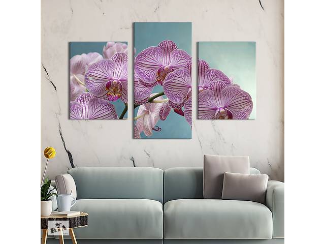 Картина из трех панелей KIL Art триптих Прекрасная мраморная розовая орхидея 141x90 см (902-32)