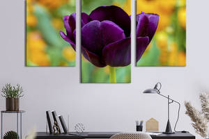 Картина из трех панелей KIL Art триптих Прекрасный фиолетовый тюльпан 66x40 см (1003-32)