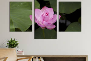 Картина из трех панелей KIL Art триптих Прекрасный розовый цветок лотоса 96x60 см (891-32)