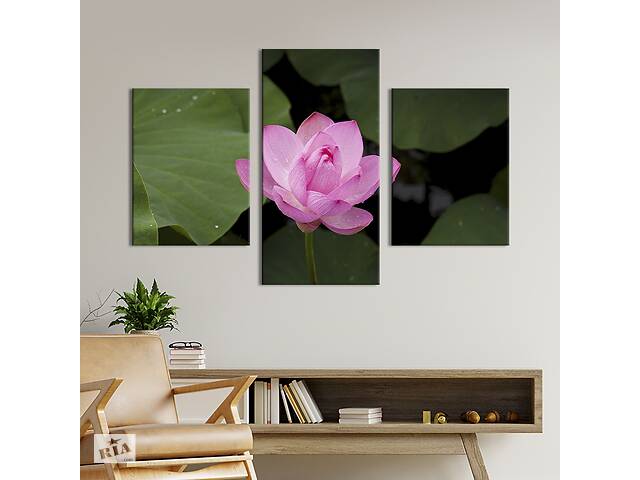 Картина из трех панелей KIL Art триптих Прекрасный розовый цветок лотоса 141x90 см (891-32)