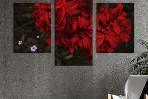 Картина из трех панелей KIL Art триптих Растение с красными листьями 141x90 см (911-32)