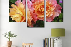 Картина из трех панелей KIL Art триптих Роскошные жёлто-розовые розы 96x60 см (847-32)