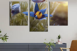 Картина из трех панелей KIL Art триптих Синие цветы сон-травы 96x60 см (835-32)