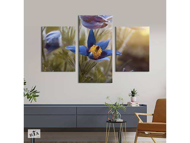 Картина из трех панелей KIL Art триптих Синие цветы сон-травы 66x40 см (835-32)