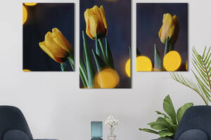 Картина из трех панелей KIL Art триптих Три ярких жёлтых тюльпана 66x40 см (923-32)