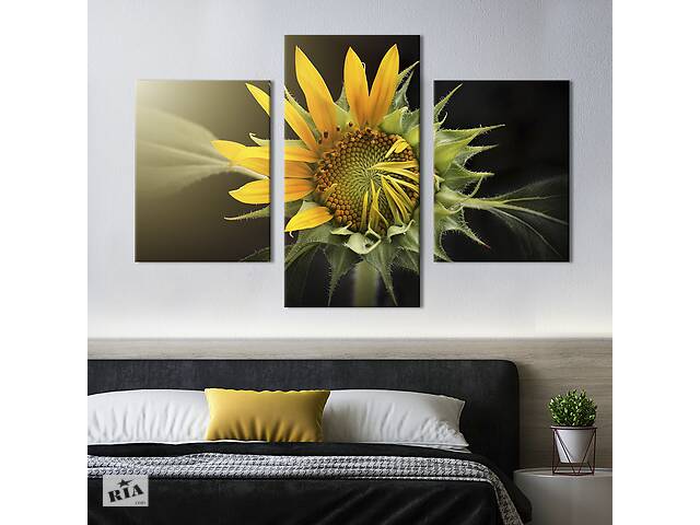 Картина из трех панелей KIL Art триптих Цветение солнечного подсолнуха 96x60 см (996-32)