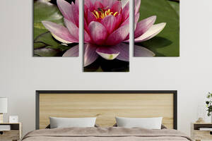 Картина из трех панелей KIL Art триптих Цветок лотоса на пруду 96x60 см (811-32)