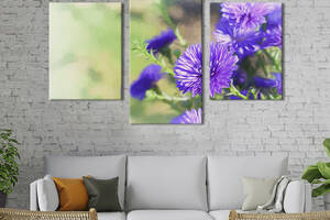 Картина из трех панелей KIL Art триптих Цветущая синяя хризантема 96x60 см (905-32)