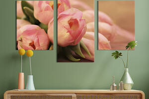 Картина из трех панелей KIL Art триптих Весенние тюльпаны 141x90 см (881-32)