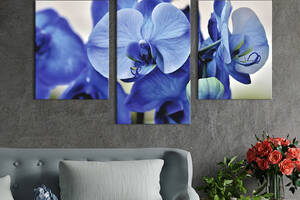 Картина из трех панелей KIL Art триптих Восхитительная синяя орхидея 66x40 см (904-32)