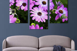 Картина из трех панелей KIL Art триптих Восхитительные лиловые цветы 141x90 см (947-32)
