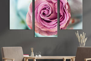 Картина из трех панелей KIL Art триптих Восхитительный цветок роза 141x90 см (980-32)