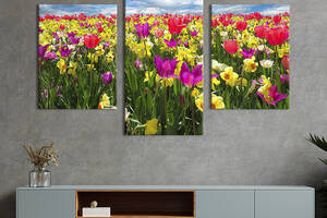 Картина из трех панелей KIL Art триптих Яркие тюльпаны на поле 96x60 см (1006-32)