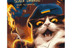 Картина за номерами 'Котик повстанець' © Маріанна Пащук Brushme BS53120 40х50 см