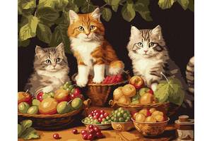 Картина за номерами 'Котики і фрукти' KHO6586 40х50см
