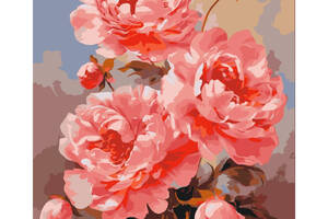 Картина за номерами 'Літні квіти' 13078-AC 40х50 см
