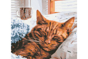 Картина за номерами 'Ранковий котик' Brushme RBS52320 30х40 см