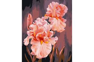 Картина за номерами 'Рожеві іриси' Art Craft 13140-AC 40х50 см