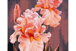 Картина за номерами 'Рожеві іриси' Art Craft 13140-AC 40х50 см