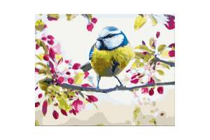 Картина за номерами 'Весняна синичка' BS51439 Brushme 40х50 см