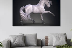 Картина животные KIL Art Белая лошадь на черно-сером фоне 75x50 см (1739-1)