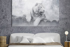 Картина животные KIL Art Белый тигр лежит в тумане 122x81 см (1793-1)