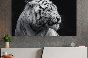 Картина животные KIL Art Бенгальский тигр 75x50 см (1700-1)