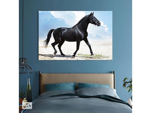 Картина животные KIL Art Черная лошадь на белом песке 75x50 см (1747-1)
