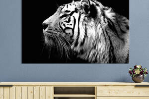 Картина животные KIL Art Черно-белый профиль тигра 122x81 см (1728-1)
