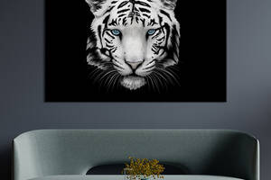 Картина животные KIL Art Голова Бенгальского тигра на черном 75x50 см (1791-1)