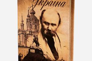 Книга-сейф металлическая с двумя ключами Шевченко Украина 26х17х5 см 10001-038 Купи уже сегодня!