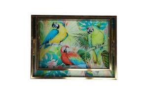 Комплект подносов Parrots 40х30 см из 2 штук AL121002 Lefard